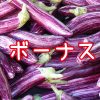 【節税②】決算賞与で節税する！